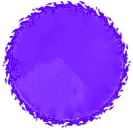 Xon Bet online casino